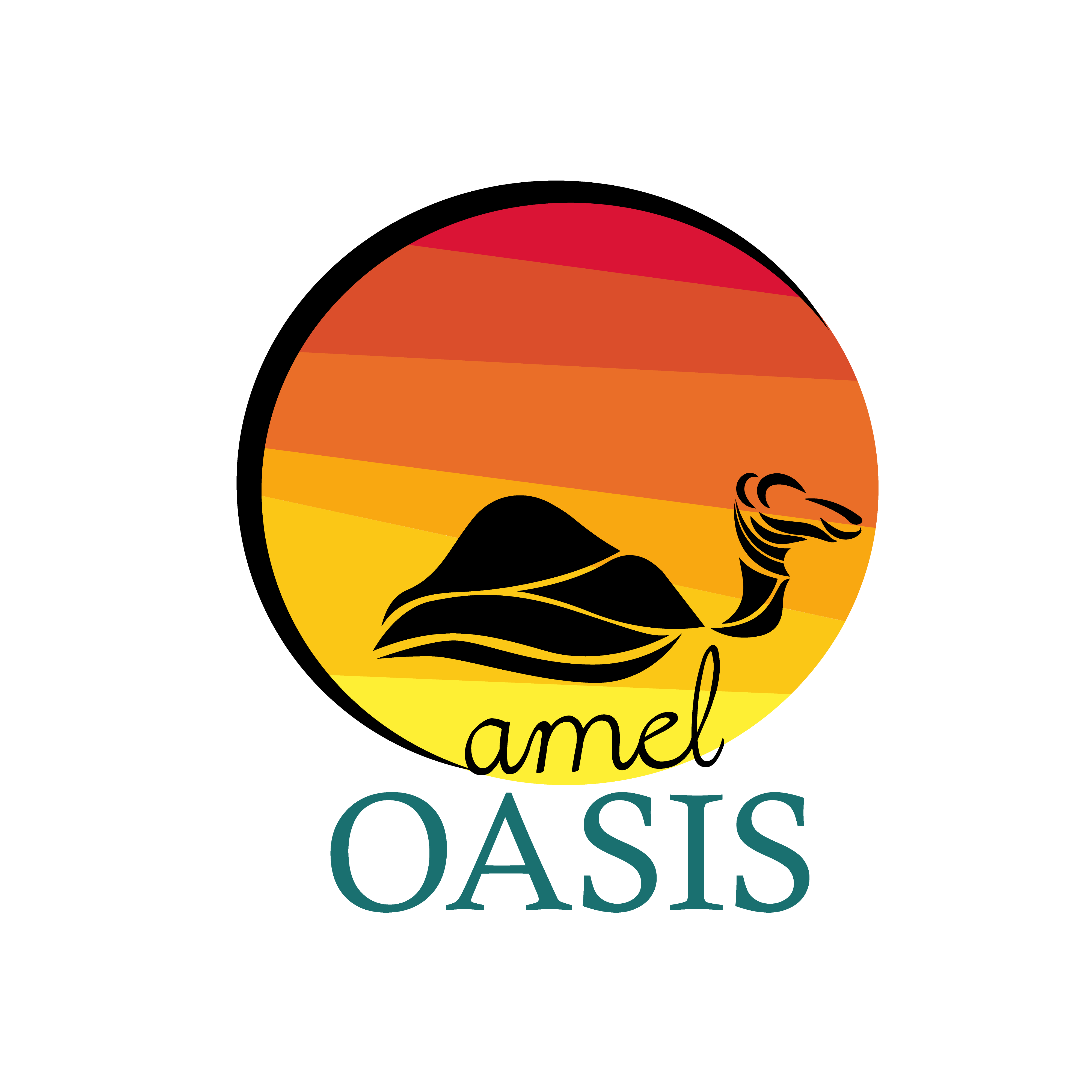 Camel Oasis